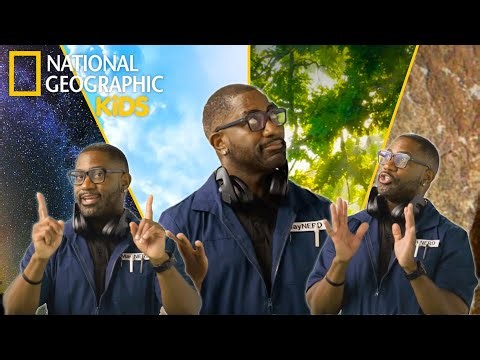 Stars, Clouds, Trees, & Rocks⭐☁️🌳🪨 | The Wonder List Compilation | Earth Month 🌎 | @natgeokids