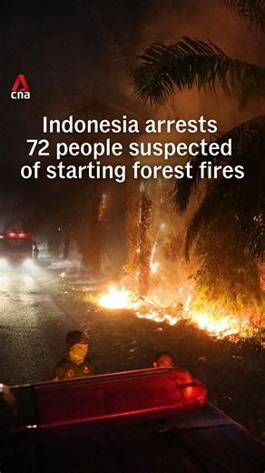 Indonesia arrests 72 people suspected of starting forest fires
