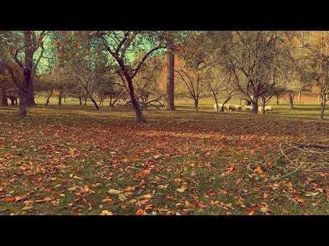 A song for the aliens out there