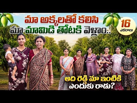 We Visited Our 16-Acre Mango Orchard with My Sisters! 🥭🌿 | Family Vlog | Adi Reddy