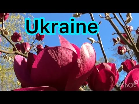 Spring in Ukraine! Beautiful nature and unbearable nation!