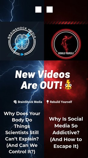 Pin on Rebuild Yourself/BrainShock Media