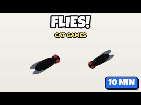 Cat Games: Catch the Fly | 10 Minute Fly Video for Cats