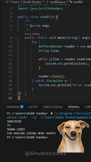 PYTHON🗿 vs JAVA☕️