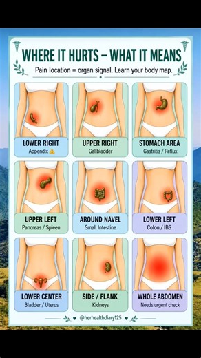 Where Your Stomach Pain Hurts & What It Could Mean | Abdominal Pain Explained | Health Warning Signs