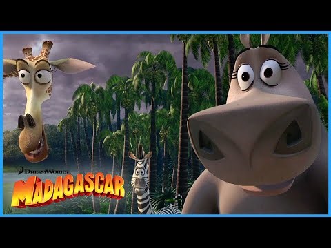 Gloria Being Glamorous! 🦛✨ | DreamWorks Madagascar