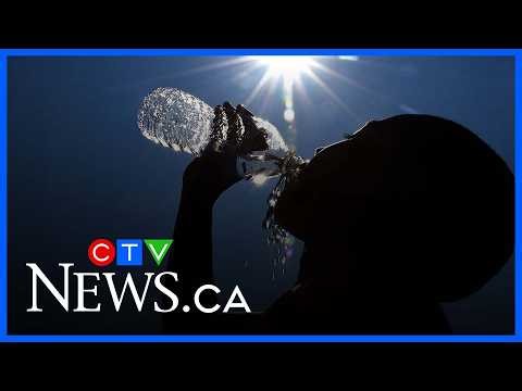 Heatwave hitting Toronto: How the city is keeping residents safe