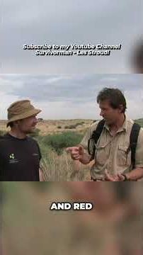 3 Crucial Rules for Identifying Edible Insects | Survivorman | Les Stroud