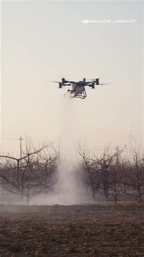 Apple Orchard Spraying with DJI T100 🍎 Does It Really Work?