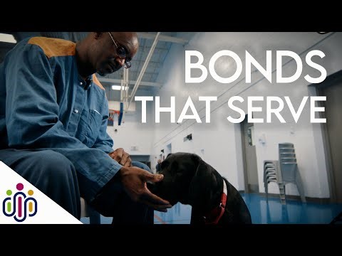 Paws With A Cause: Training Service, Finding Purpose