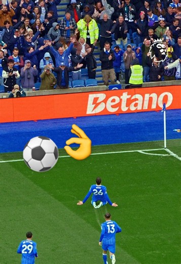Brighton & Hove Albion's Perfect Team Goal in the Premier League 😍