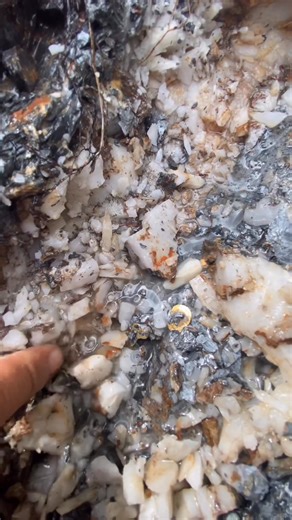 gold prospecting 2026, gold prospecting for beginners | Anis Gold Prospecting