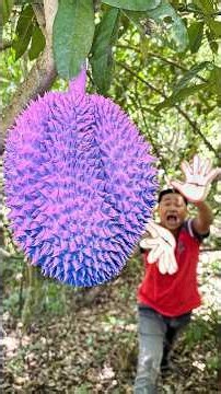 Survival Skills Clever Fruit Picking Hacks in the Deep Forest