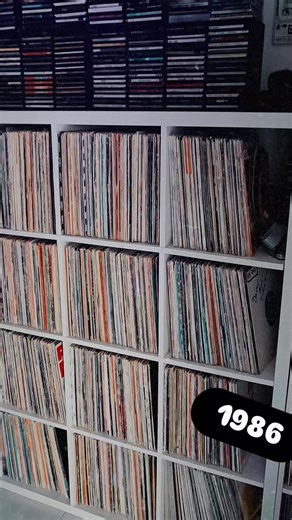 Exploring the Sonic World of Vinyl Sound