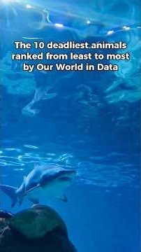 The 10 deadliest animals, ranked from least to most #animals #deadliestanimals #stats #nature
