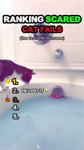 Top 5 Scared Cat Fails 💀