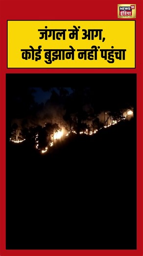 जंगल में आग, कोई बुझाने नहीं पहुंचा #fireaccident #jungle #viralnews #viralshorts