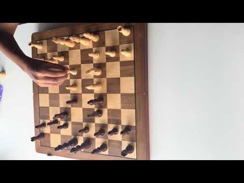 Chess Openings