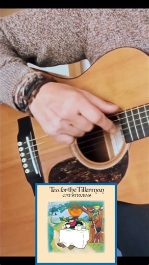 ‘Wild World’ Cat Stevens GUITAR CHORD TUTORIAL (Standard - No Capo)