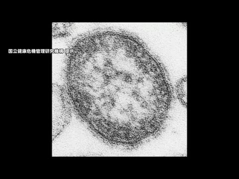 はしかの感染拡大　4月中旬時点で去年1年を上回る　厚生労働大臣がワクチン接種を呼びかけ