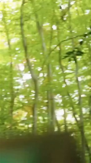 “Oh my goodness!” 😯 We love this moment when an unsuspecting dog walker stumbles upon a couple of special guests while out and about - it’s only The Prince of Wales and Jill Scott! Her companion seemed to love Prince William too - so sweet 🥰 🎥: @fieldsintrust | HELLO!