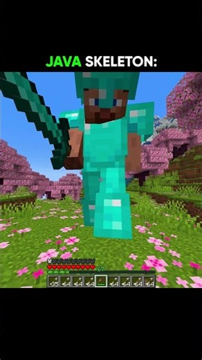 Java Skeleton vs Bedrock Skeleton... 💀