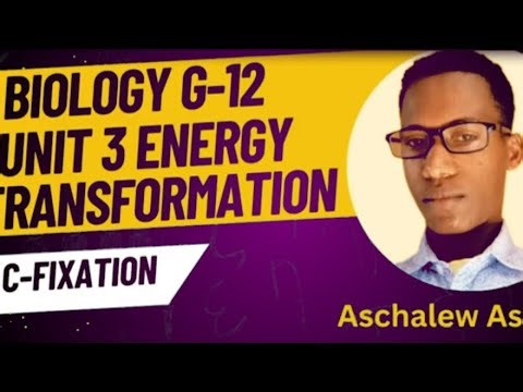 Biology grade 12 unit 3 carbon fixation energy transformation