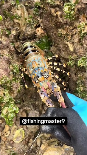 Explore Delicious Seafood Cooking Techniques