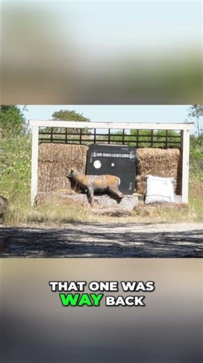 40-Yard Deer Target Practice with Recurve #shorts