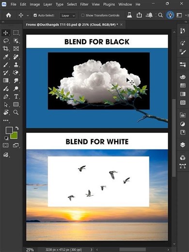 Adobe Photoshop 2026 - Tips to Blend Black & White Image #ducthangds