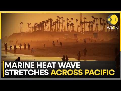 US States See Record Heat in March: 8,000 Km Heatwave Along Pacific Ocean to Disrupt Global Temp