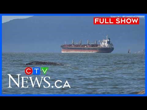 Grey whale spotted in English Bay | CTV News Vancouver at Six for April 28, 2026