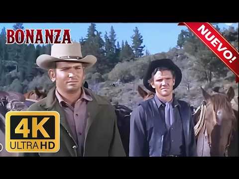 Bonanza Temporada Capítulo 238 - Aventuras, Western, Lorne Greene, Pernell Roberts, Dan Blocker