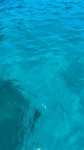 BIG BLUE skin&scuba&freediving on Reels