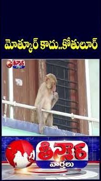 Mothkur Village Public Facing Problems With Monkeys | V6 Teenmaar