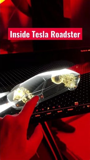 Inside Flying Tesla Roadster