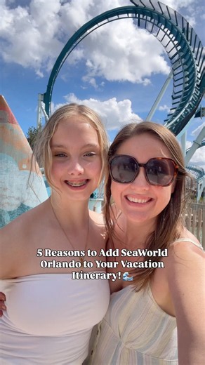 5 Reasons to Visit SeaWorld Orlando This Summer | Orlando Vacation Guide #Shorts #YTShorts