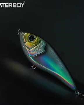 ils ressemblent au WESTIN