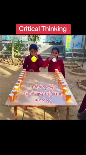 Critical Thinking Training for Success in Life