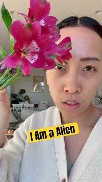 I am an alien meditation - a practice that helps us see the small beauty in life.