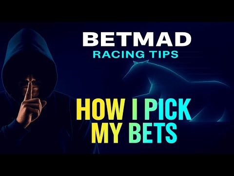 How I Pick My Bets | A Guide To Horse Racing