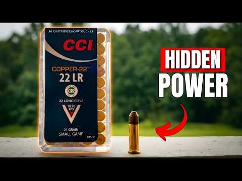 Why .22LR Is More Dangerous Than People Think