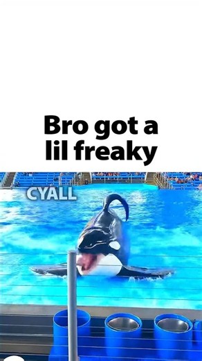 Freaky ahh orca 😭