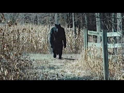 The Michigan Dogman Has Been Caught On Camera, Here's The Incredible Evidence