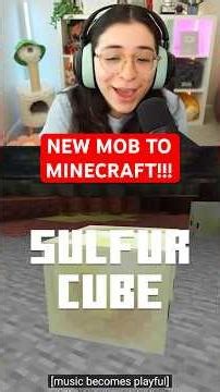 Everything in Minecraft's New Update...