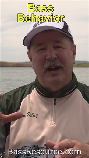 Bass Fishing for Beginners - short BassFishing #BassFishingForBeginners #FishingBasics