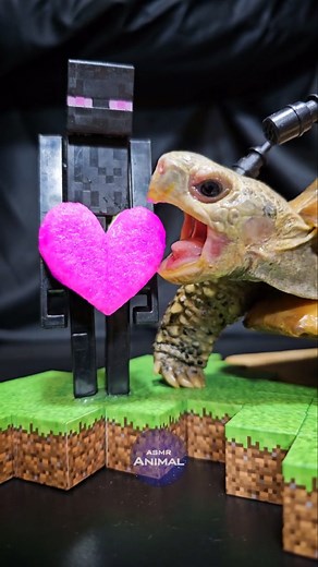 Minecraft ASMR Mukbang Eating ENDERMAN HEART 🌈