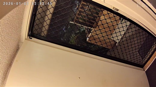 Addressing Antisocial Behavior in Newcastle Housing