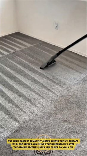 Cleaning carpet surface using vacuum cleaner to remove dust and restore texture