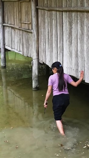 Building a Lake House from Scratch by 2 Sisters! #farmlife #garden #bushcraft #build